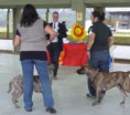 /album/a3%c2%ba-encontro-de-cimarroneiros-16-03-2013/p1060578-500x439-jpg/